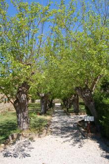 Residenza  Sant'Anna
